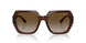 2571T5 - Brown - Gradient Brown Polar