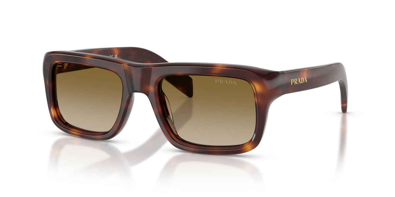 15W20U - Tortoise - Brown Gradient