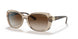 299013 - Light Brown - Brown Gradient