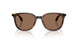 300273 - Tortoise - Solid Brown