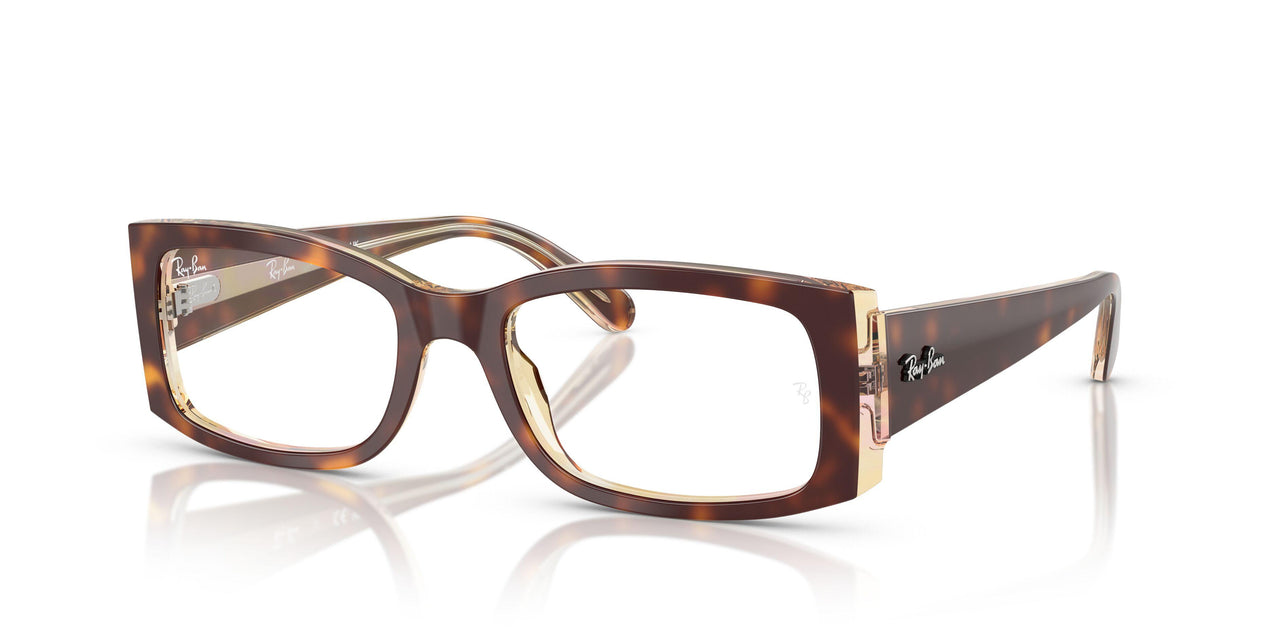 8402 - Tortoise - Clear