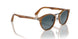 960/S3 - Brown - Light Blue Grad Dlue Polar