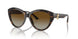 5002T5 - Tortoise - Polarized Gradient Brown