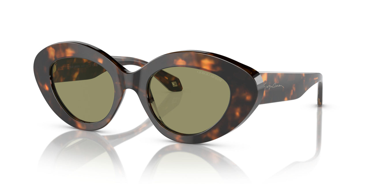 599314 - Tortoise - Green