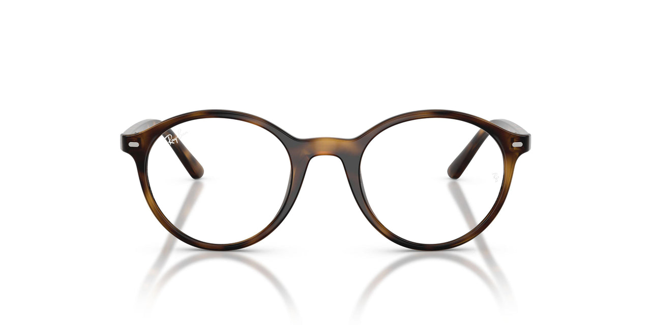 3685 - Tortoise - Clear