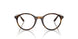 3685 - Tortoise - Clear