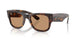 902/53 - Tortoise - Brown