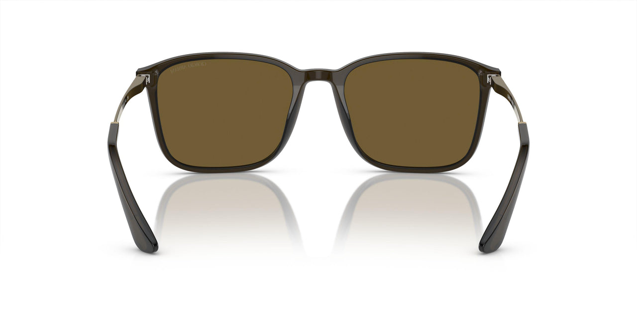 503073 - Green - Dark Brown