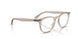 8449 - Brown - Clear