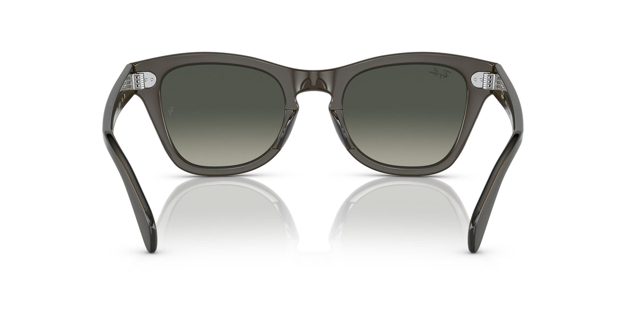 664271 - Green - Grey Gradient