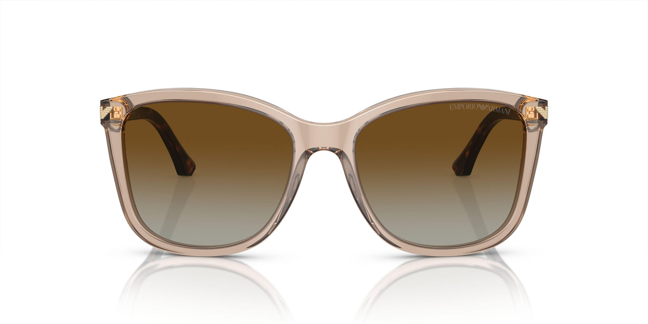 5850T5 - Brown - Gradient Brown Polar
