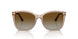 5850T5 - Brown - Gradient Brown Polar