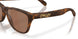 950803 - Tortoise - Prizm Tungsten