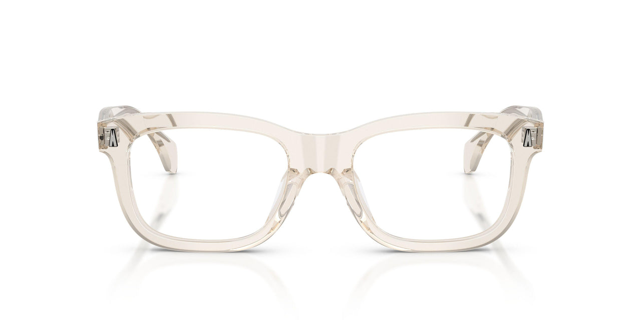 3003 - Brown
