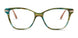 06AK-00 - GREEN HRN