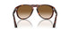 24/51 - Havana - Crystal Brown Gradient