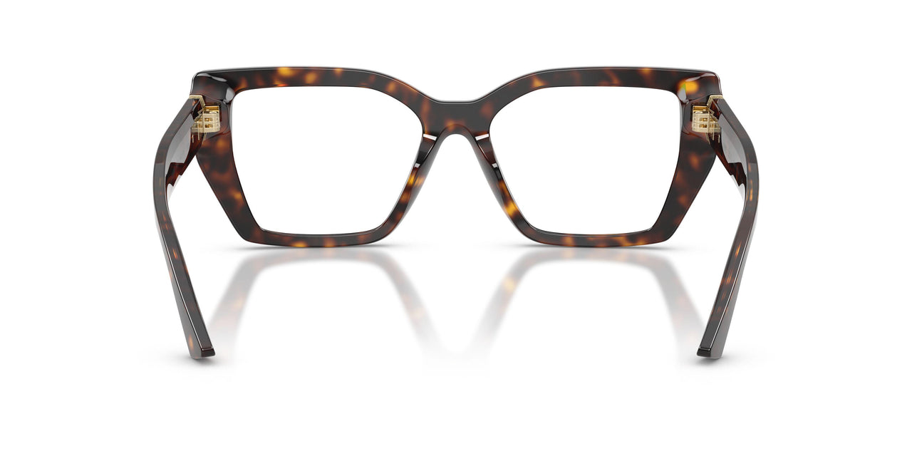 5002 - Tortoise