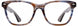 American Optical SARATOGARX Eyeglasses