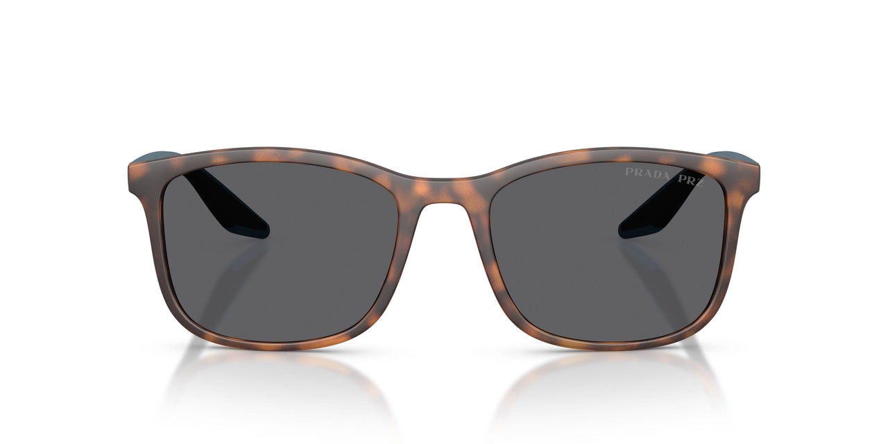 U61144 - Tortoise - Grey Polar