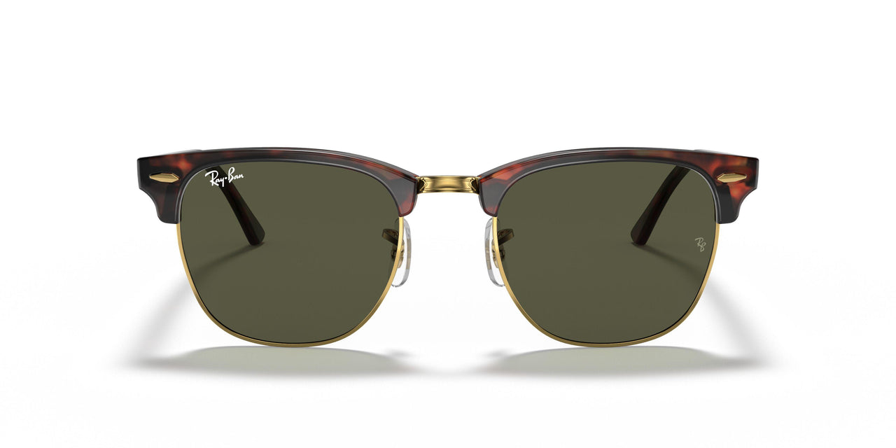 W0366 - Tortoise - Green