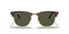 W0366 - Tortoise - Green
