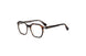 Divaldi DVO8315 Eyeglasses