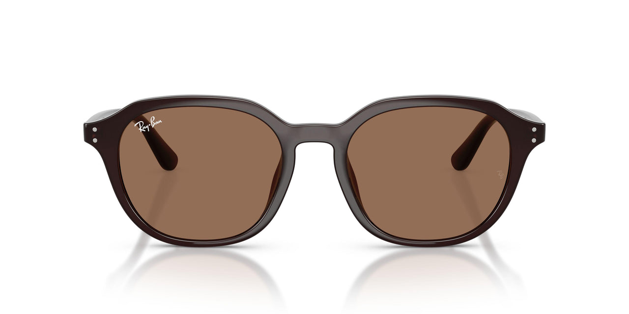 623173 - Brown - Dark Brown