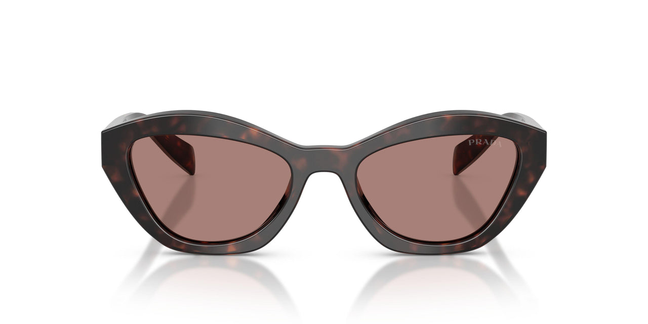 17N60B - Tortoise - Light Brown