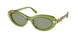 Swarovski 6042 Sunglasses
