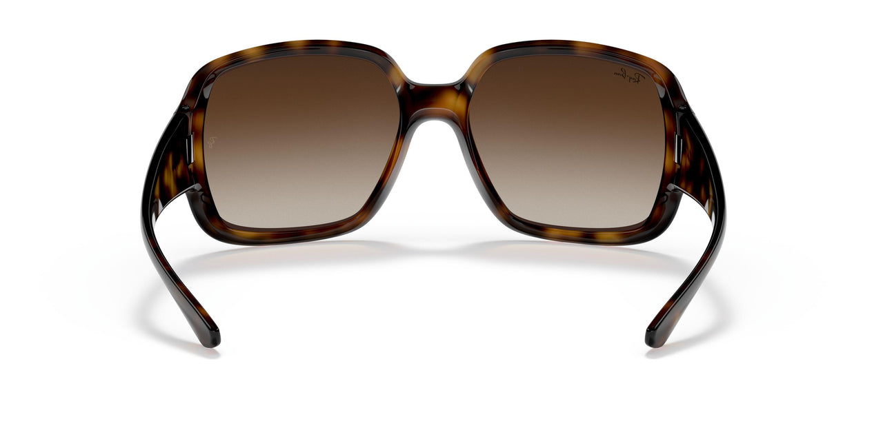 710/13 - Havana - Brown Gradient Dark Brown