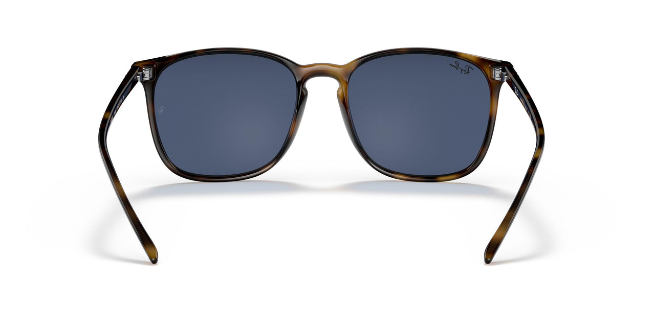 710/80 - Tortoise - Dark Blue