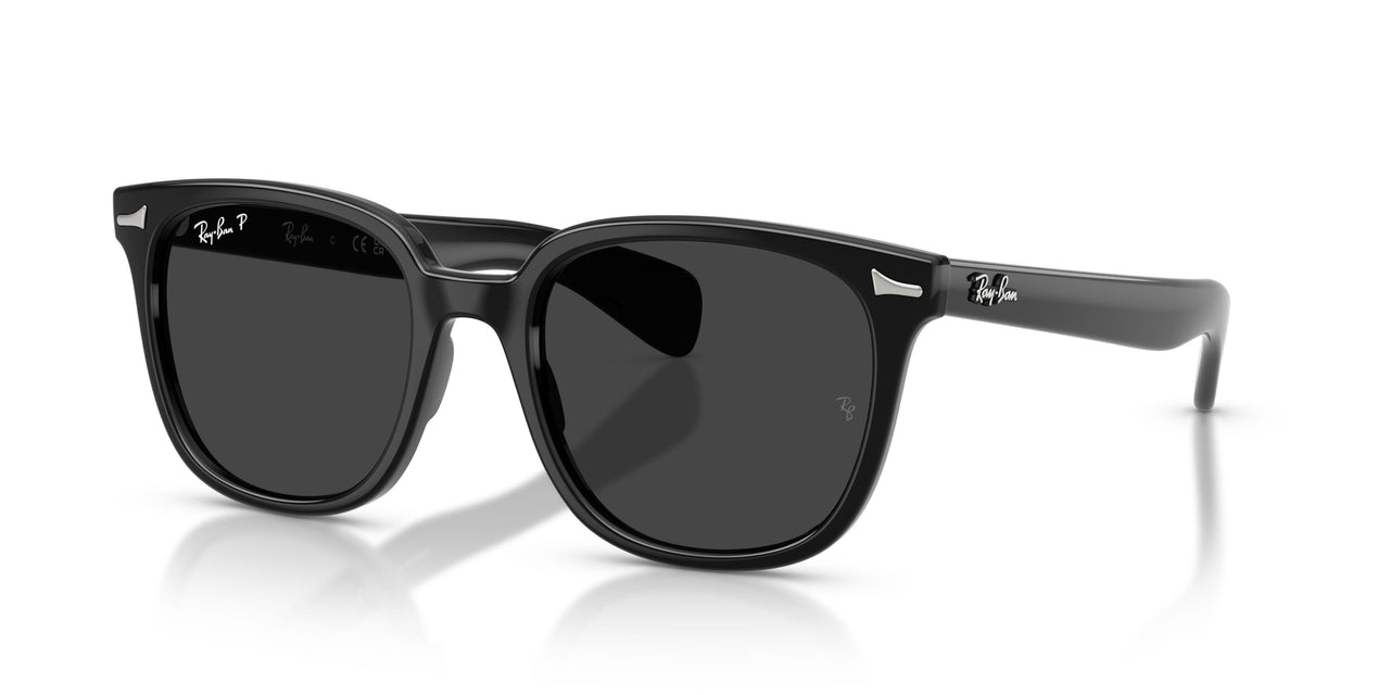 901/48 - Black - Polarized Black