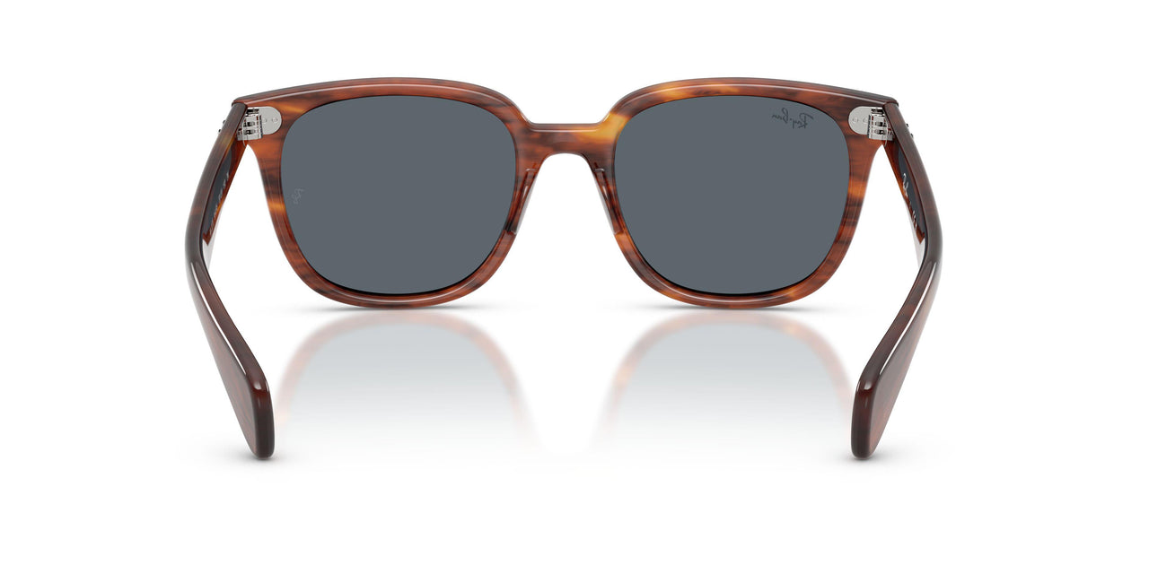 954/R5 - Brown - Blue