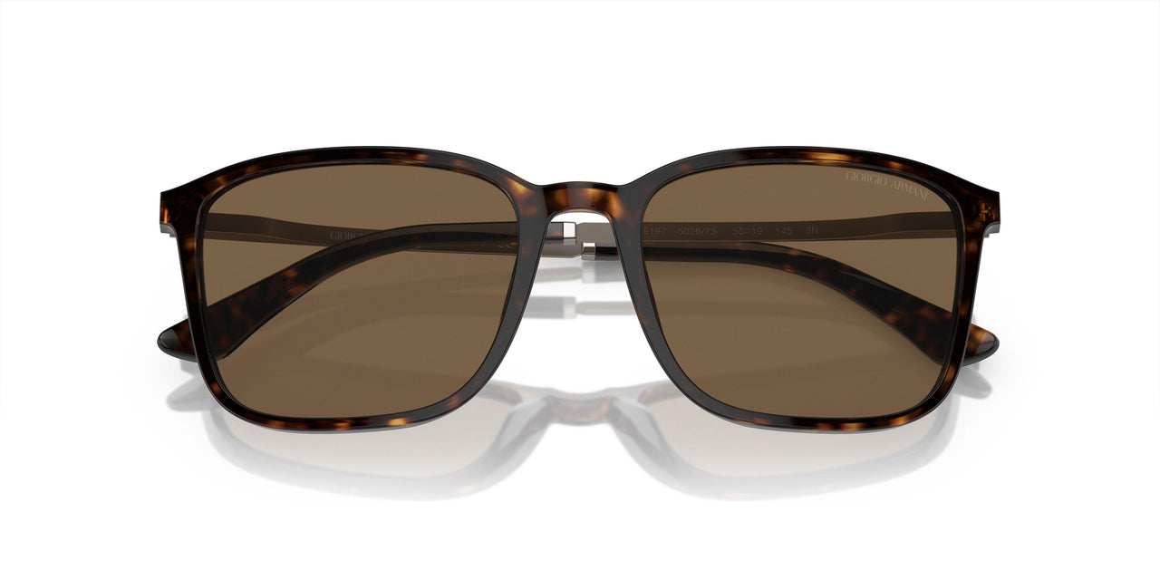 502673 - Tortoise - Dark Brown