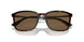 502673 - Tortoise - Dark Brown