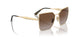 848/T5 - Gold - Gradient Brown Polar