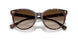 500313 - Tortoise - Brown Gradient