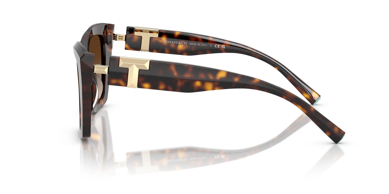 80153B - Tortoise - Brown Gradient