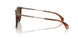 300475 - Tortoise - Mirror Olive