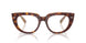 8402 - Tortoise - Clear