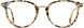 STATE Optical Co. DUSABLE Eyeglasses