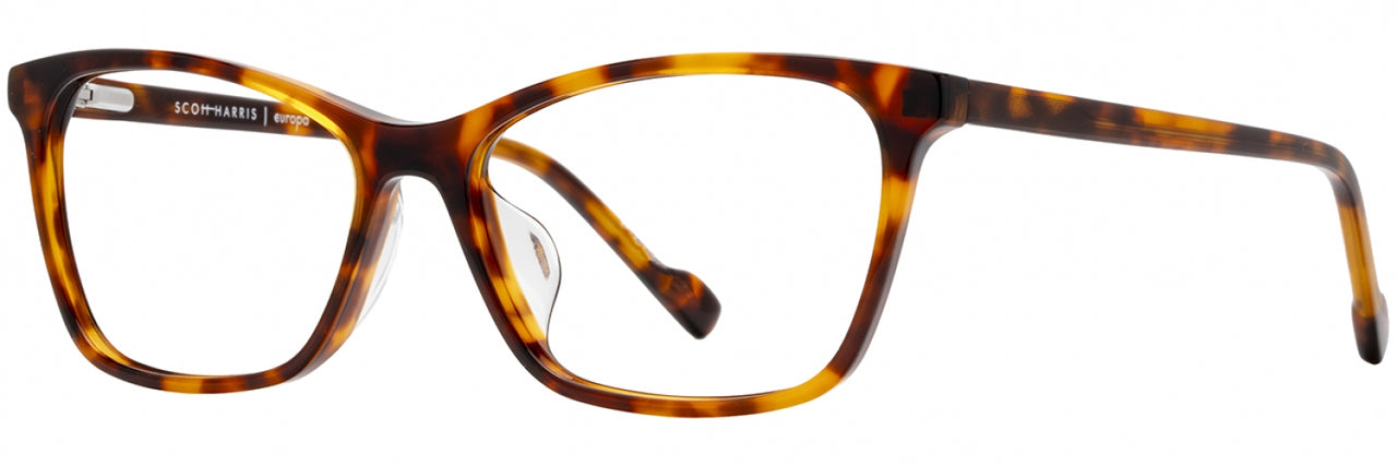 3 - Amber Tortoise