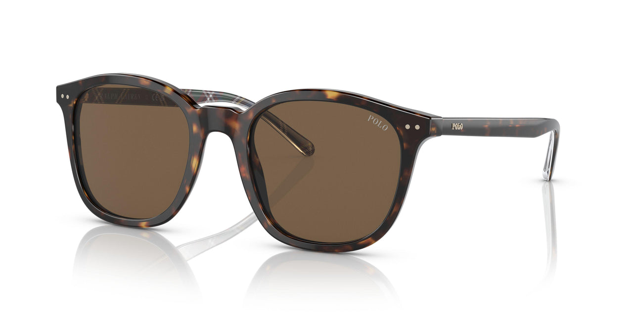 500373 - Brown - Brown