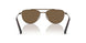 401673 - Brown - Dark Brown