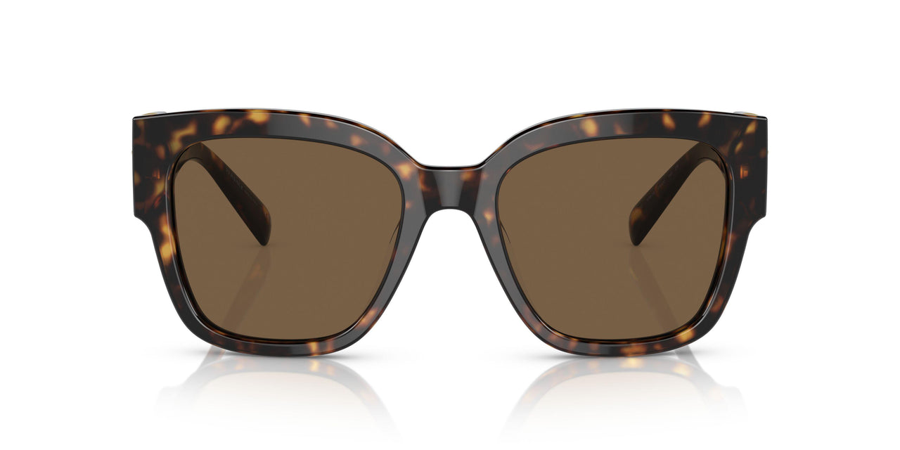 108/73 - Havana - Dark Brown