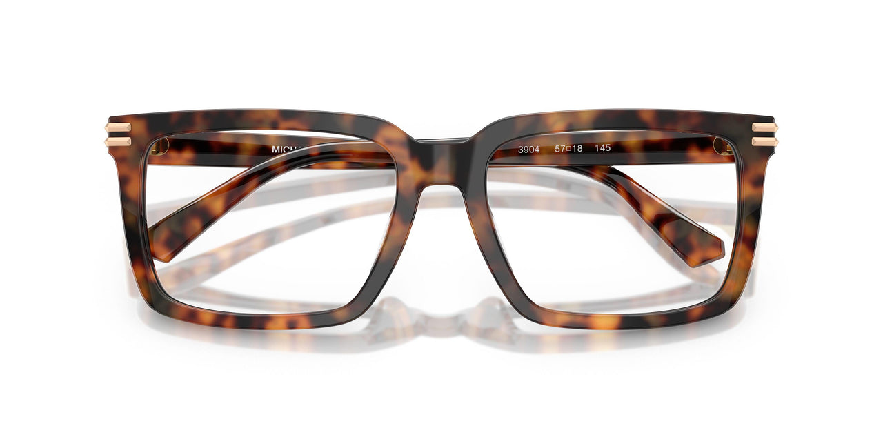 3904 - Tortoise
