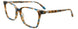 50 - Blue & Brown Tortoise