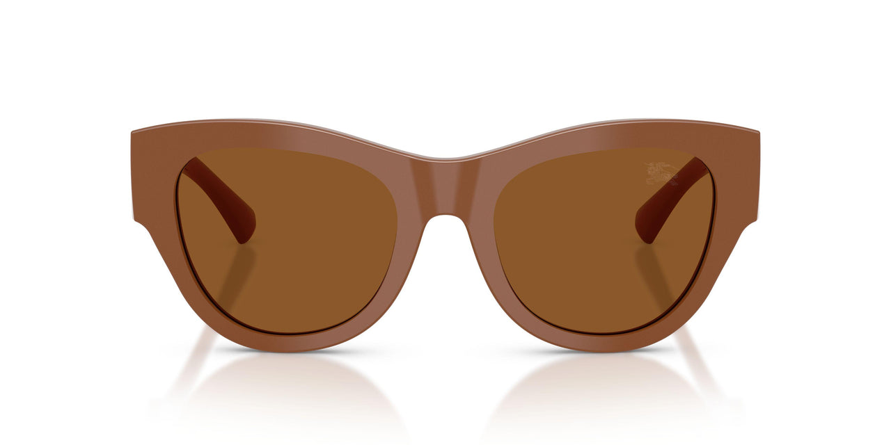422273 - Brown - Dark Brown