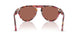 1220H2 - Multicolor - Brown