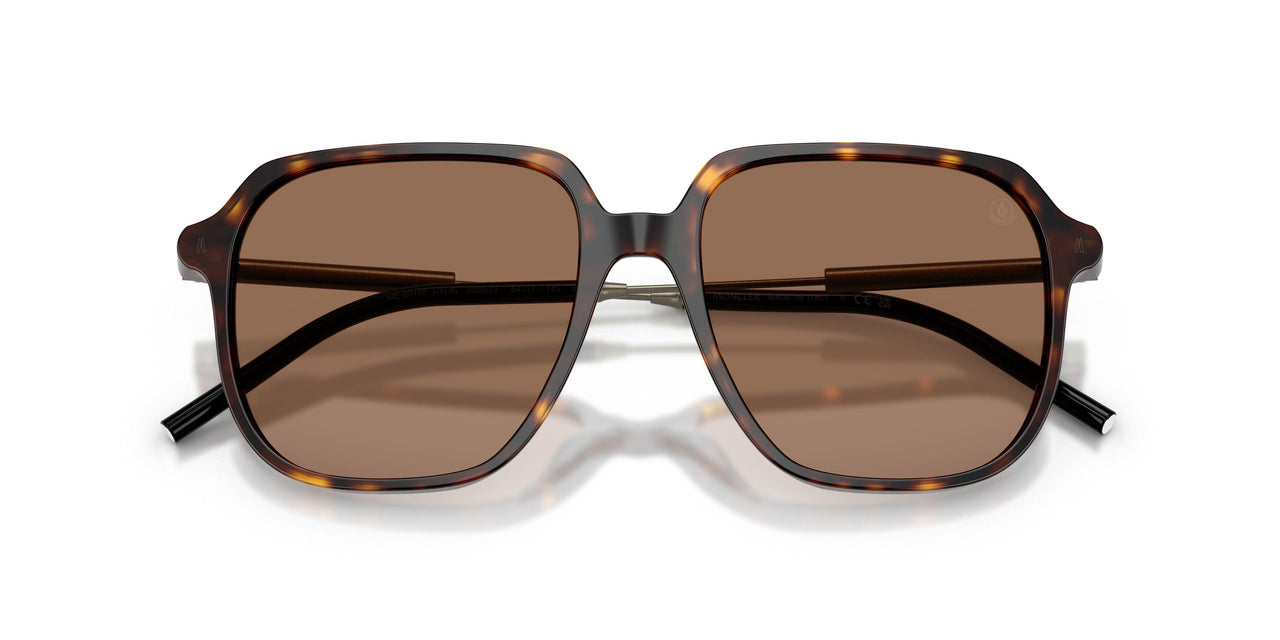 300273 - Tortoise - Brown Solid